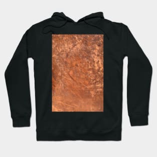 Grungy Vintage Book Cover Hoodie